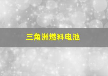 三角洲燃料电池