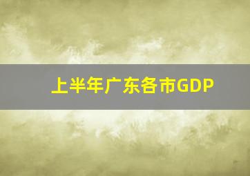 上半年广东各市GDP