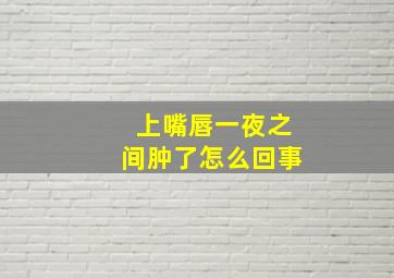 上嘴唇一夜之间肿了怎么回事