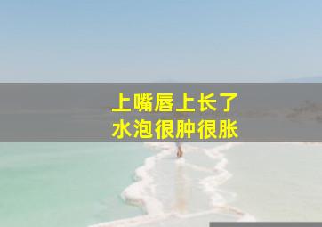 上嘴唇上长了水泡很肿很胀