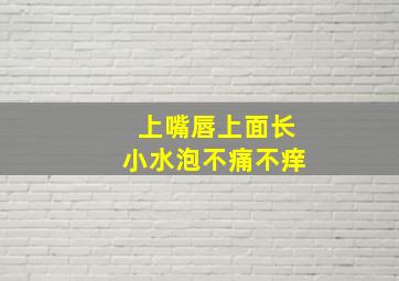 上嘴唇上面长小水泡不痛不痒