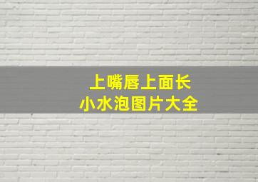 上嘴唇上面长小水泡图片大全