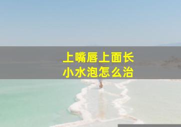 上嘴唇上面长小水泡怎么治