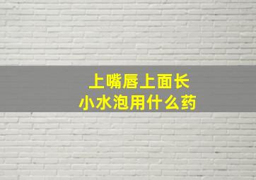 上嘴唇上面长小水泡用什么药