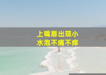 上嘴唇出现小水泡不痛不痒