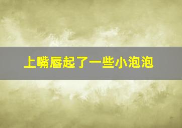 上嘴唇起了一些小泡泡