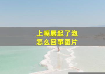 上嘴唇起了泡怎么回事图片