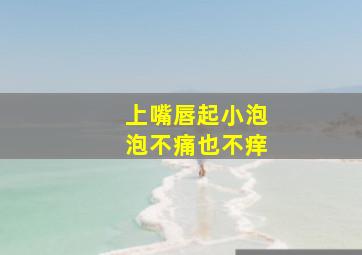 上嘴唇起小泡泡不痛也不痒