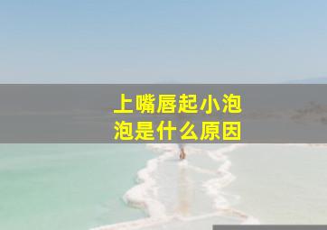 上嘴唇起小泡泡是什么原因