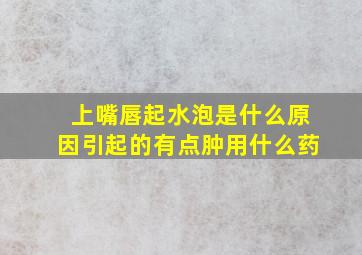 上嘴唇起水泡是什么原因引起的有点肿用什么药