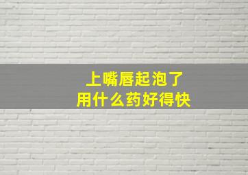 上嘴唇起泡了用什么药好得快