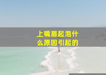 上嘴唇起泡什么原因引起的