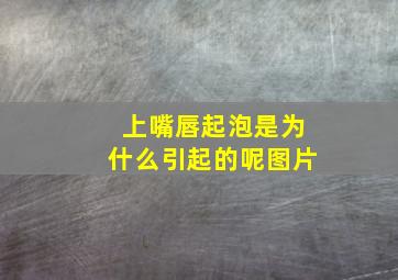 上嘴唇起泡是为什么引起的呢图片