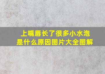 上嘴唇长了很多小水泡是什么原因图片大全图解