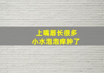 上嘴唇长很多小水泡泡痒肿了