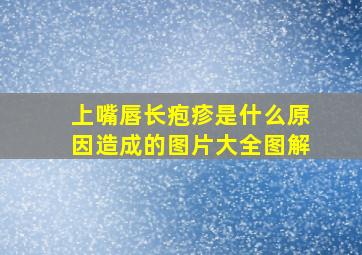 上嘴唇长疱疹是什么原因造成的图片大全图解