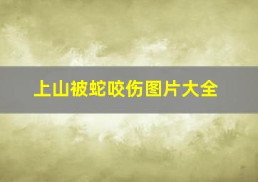 上山被蛇咬伤图片大全