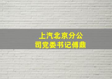 上汽北京分公司党委书记傅鼎