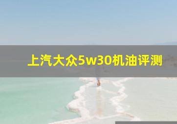 上汽大众5w30机油评测