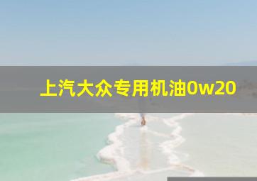 上汽大众专用机油0w20