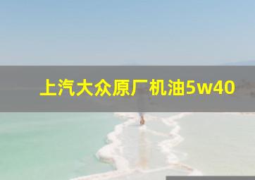 上汽大众原厂机油5w40