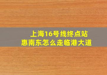 上海16号线终点站惠南东怎么走临港大道