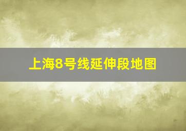 上海8号线延伸段地图