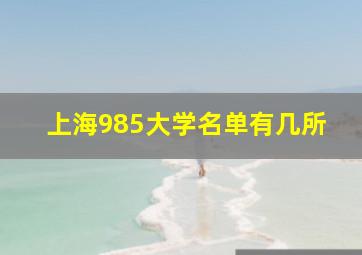 上海985大学名单有几所