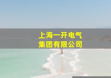 上海一开电气集团有限公司