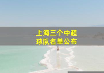 上海三个中超球队名单公布