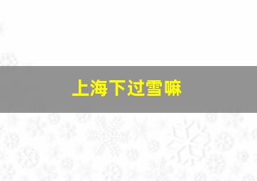 上海下过雪嘛