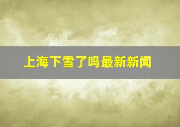 上海下雪了吗最新新闻