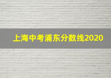 上海中考浦东分数线2020