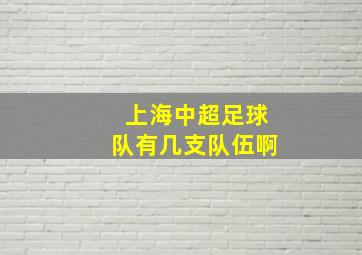 上海中超足球队有几支队伍啊