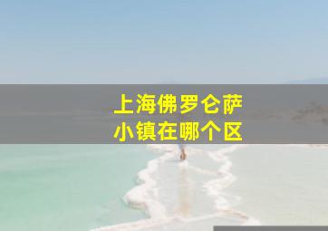 上海佛罗仑萨小镇在哪个区