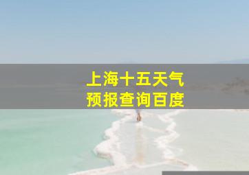 上海十五天气预报查询百度