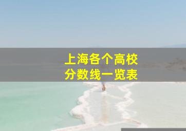 上海各个高校分数线一览表