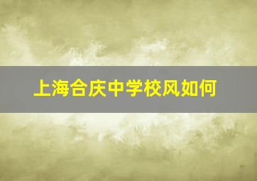 上海合庆中学校风如何