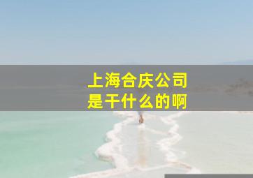 上海合庆公司是干什么的啊