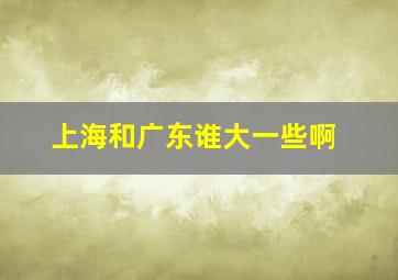 上海和广东谁大一些啊