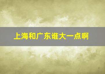 上海和广东谁大一点啊