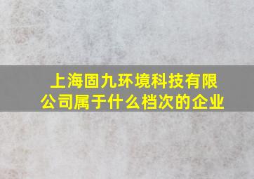 上海固九环境科技有限公司属于什么档次的企业