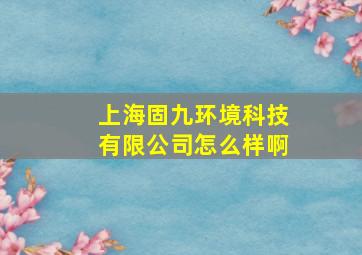 上海固九环境科技有限公司怎么样啊