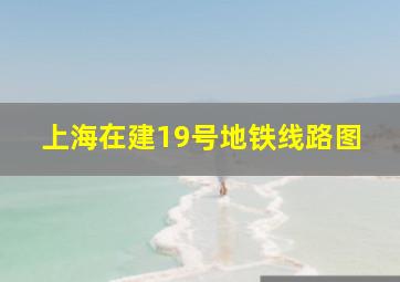 上海在建19号地铁线路图