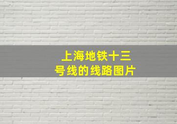 上海地铁十三号线的线路图片