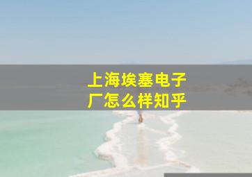 上海埃塞电子厂怎么样知乎