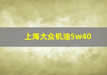 上海大众机油5w40