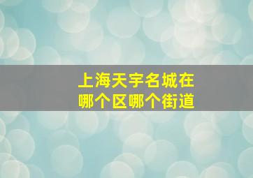 上海天宇名城在哪个区哪个街道