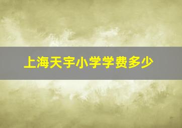 上海天宇小学学费多少