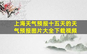 上海天气预报十五天的天气预报图片大全下载视频